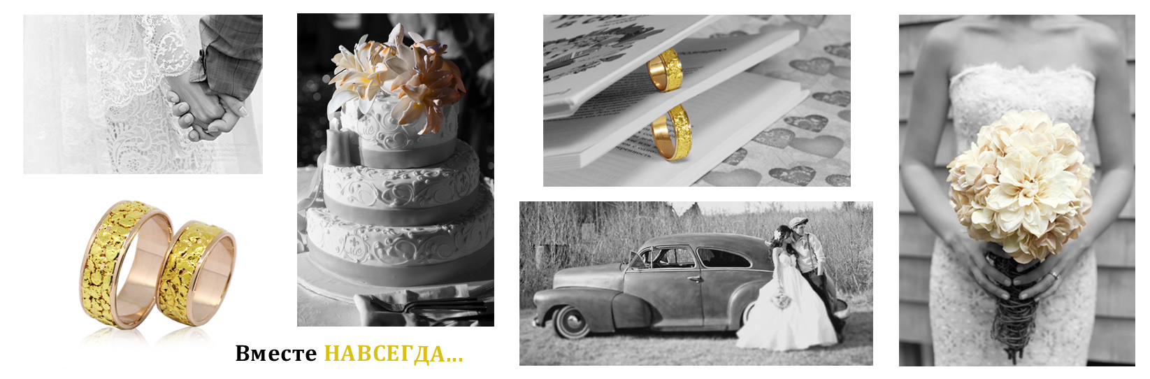 wedd